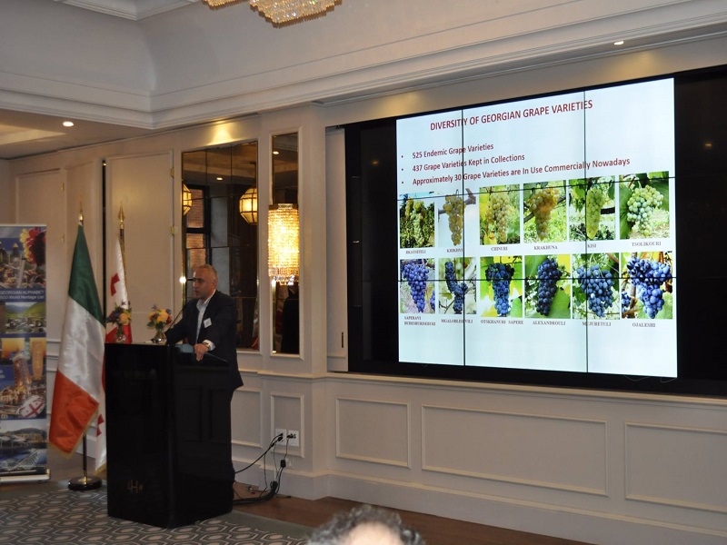ქართული ღვინის პრეზენტაცია დუბლინში