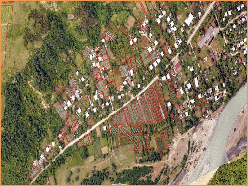 Implementation of Vineyards Cadastre Program Started in Akhmeta Municipality