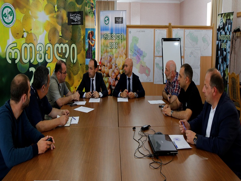 The Minister of Agriculture of Georgia Held Meeting in the Coordination Staff of Vintage