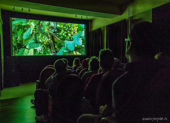 A Documentary Film on Georgian Wine Was Screened in Poland