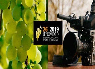 Georgian film "Georgia Homeland of Wine" received a special prize at Marseille Cinematography Festival