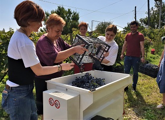 Khatia Tsilosani held a meeting with the Head of Grape Vintage Coordination Center