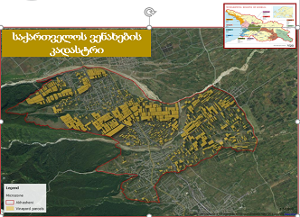 According to the National Wine Agency, the public comments made by several winemakers regarding the procedures for obtaining a cadastral extract of vineyards are not true.