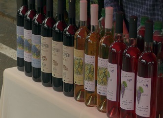 The first Racha-Lechkhumi wine festival was held in Ambrolauri