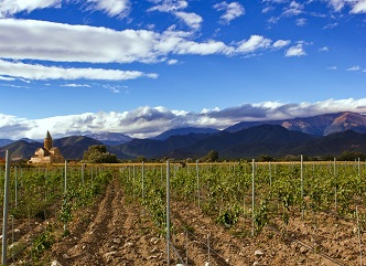 Program for vineyards cadastre in  viticulture regions of west Georgia