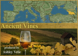 CBS - Ancient Vines