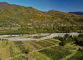 Harvest Has Begun in Racha