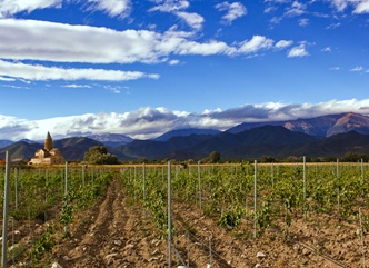 The Order of the Minister of Environmental Protection and Agriculture approved the Rules for Cultivating a commercial vineyard.