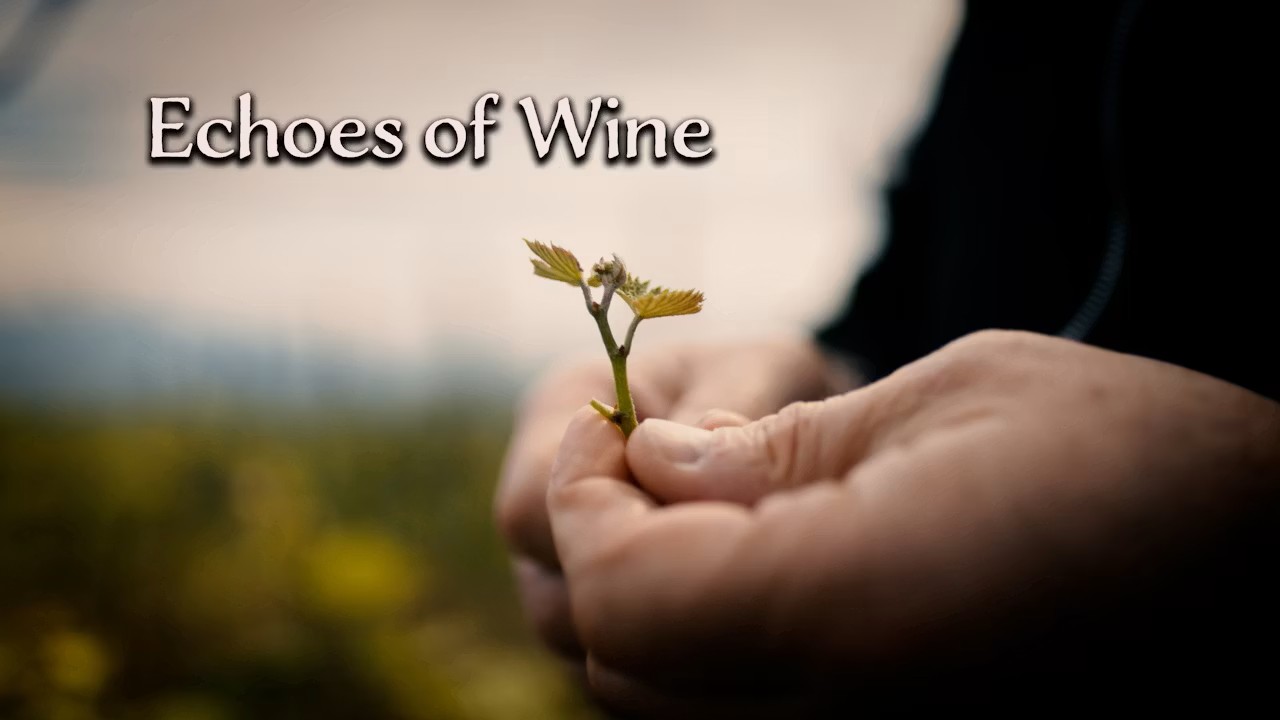  SOMM TV Produces a Film on Georgian Wine with the Support of the National Wine Agency