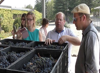 Wine Professionals from The UK Are Exploring Georgian Wine