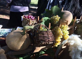 Wine Festival Was Held in Gurjaani