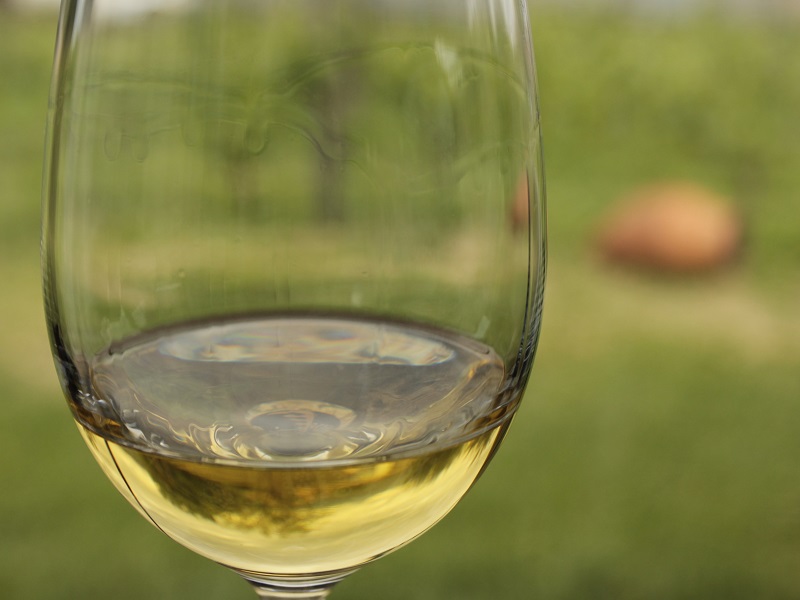 „ქარვისფერი ღვინო“  OIV-ის სპეციალური ღვინოების ჩამონათვალში შევა