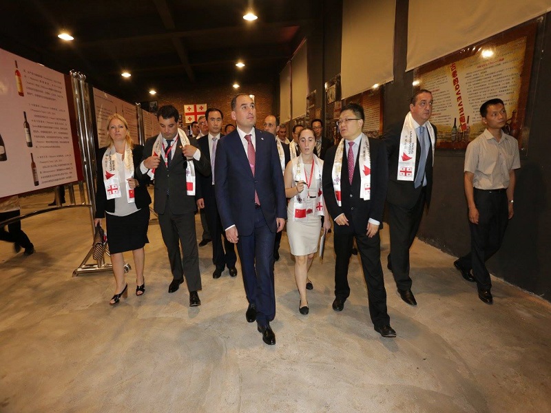 Chinese- Georgian Cultural Center Opening in China
